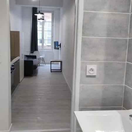 Saint Etienne Studio Lot 7 Apartamento *
