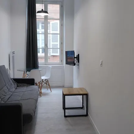 Saint Etienne Studio Lot 7 Daire Toulouse