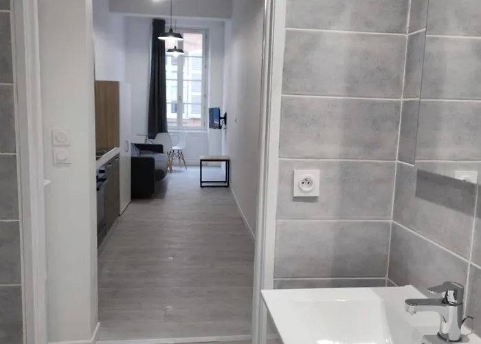 Saint Etienne Studio Lot 7 Apartament *